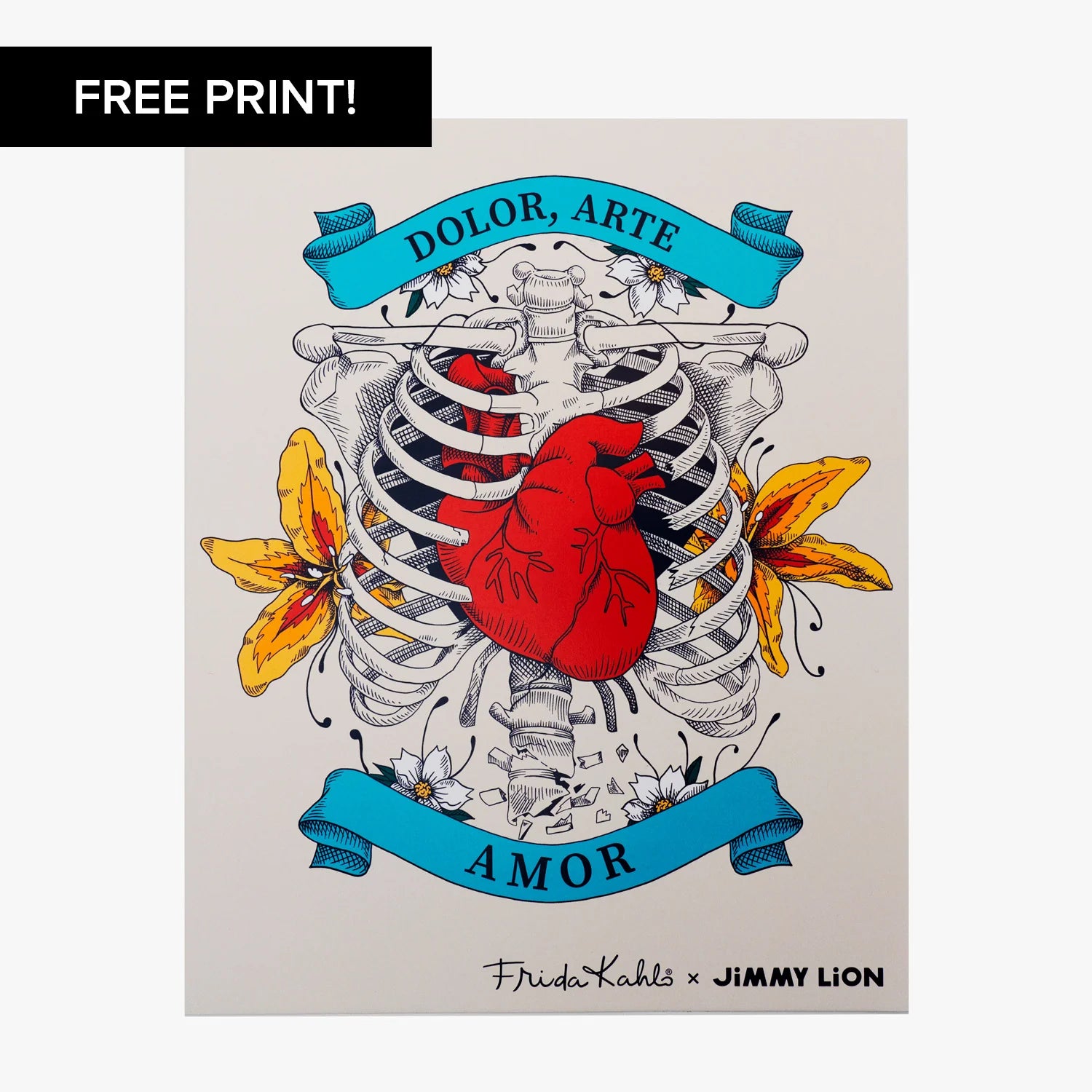 Pack Chaussettes Casual Frida - Mi-Mollet