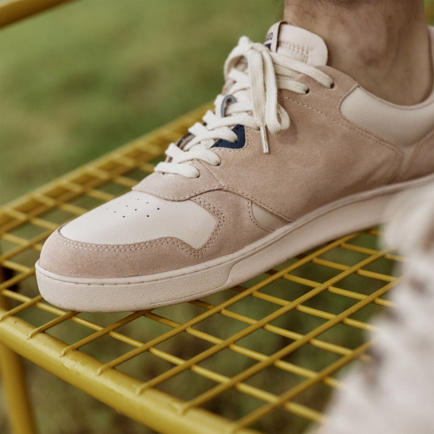 Baskets basses Palmer : La basket sobre et tendance